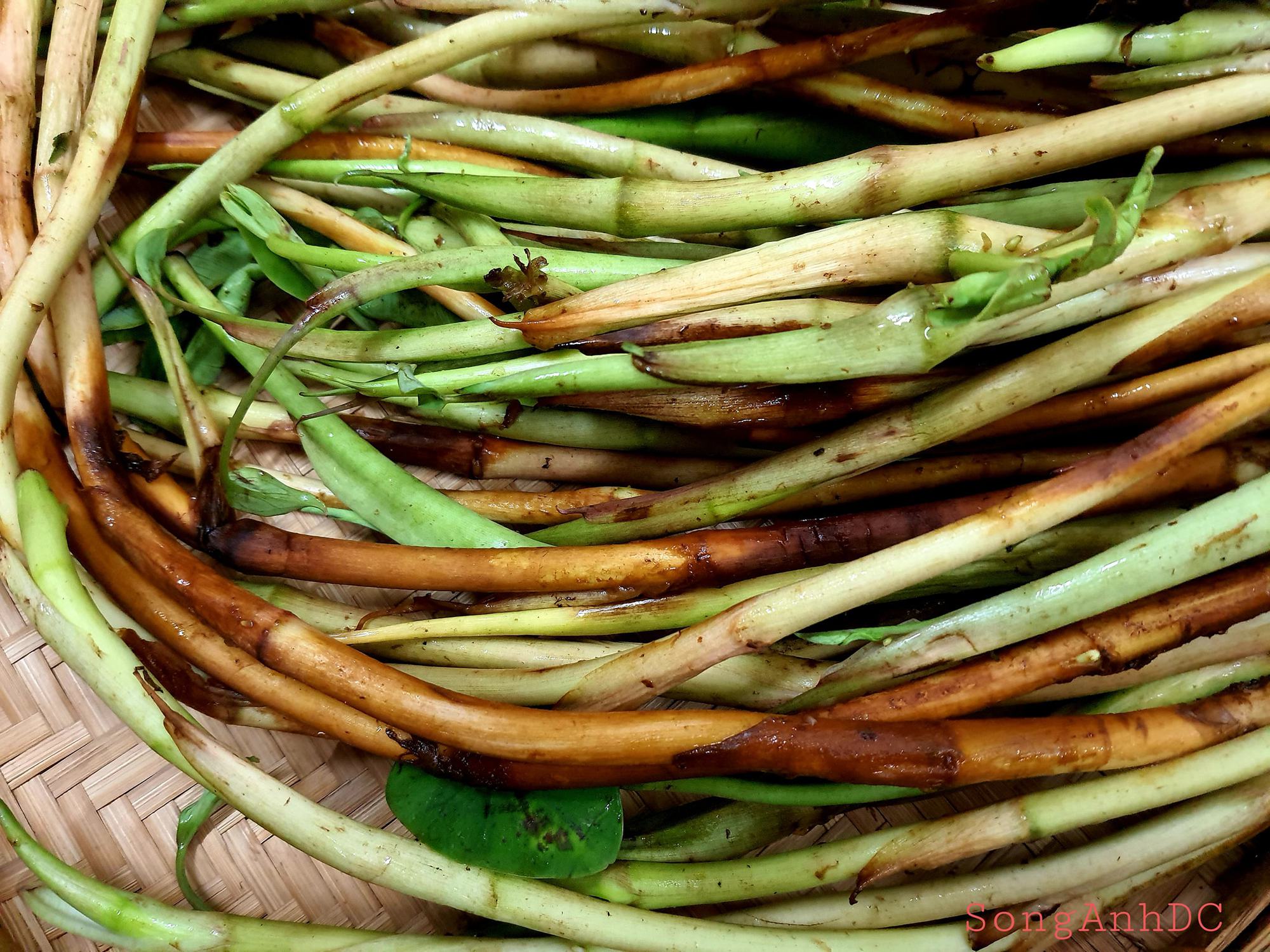 Mẹ đảm &quot;bỏ bùa&quot; người thương bằng món canh dân dã giữa phố thị: Ăn một lần rồi chẳng thể nào quên! - Ảnh 1.