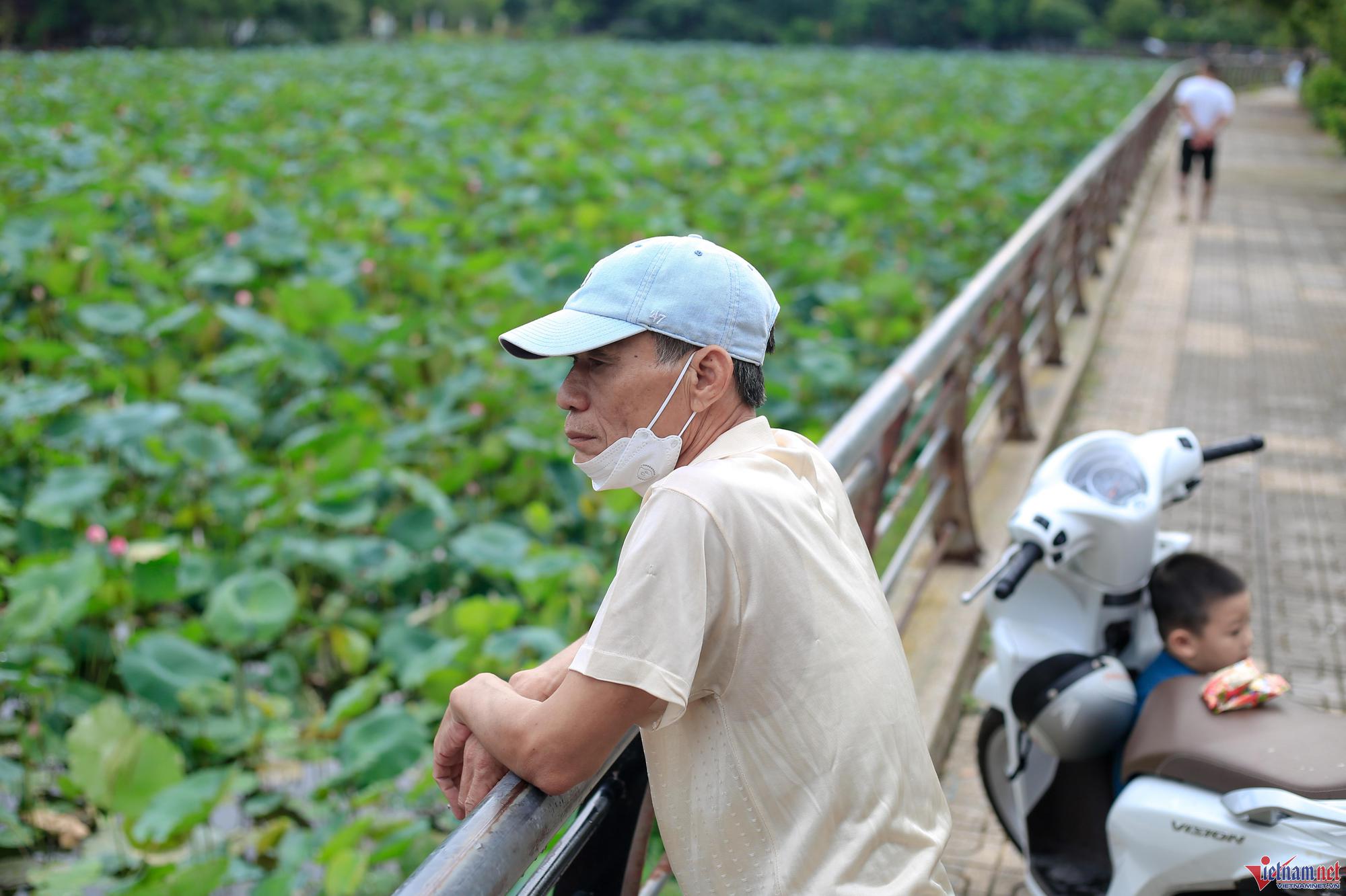 Tháng cao điểm thu tiền: Ngày hái 2.000 bông, chủ đầm sen hồ Tây bỏ túi chục triệu - Ảnh 7.