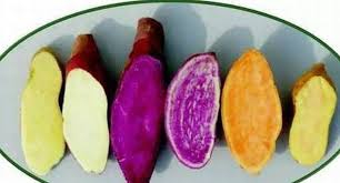 Hãy bỏ túi các món ăn từ thứ củ thần dược vì thải độc tố, thanh lọc cơ thể giúp giảm ốm đau bệnh tật - Ảnh 7.