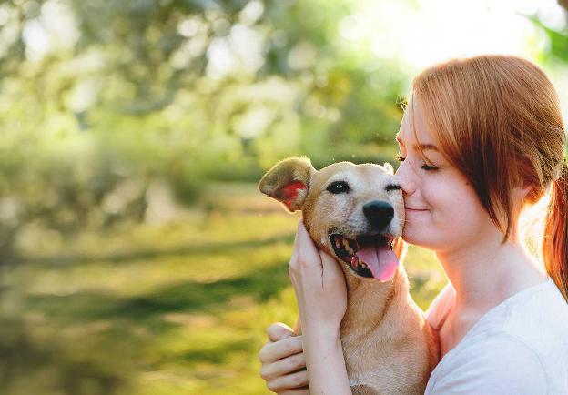 Chốn Yêu Thương là một nơi để đặt niềm tin và hy vọng. Hãy xem ảnh liên quan đến Món Quà và cảm nhận sự ấm áp và tình yêu chứa đựng trong đó.