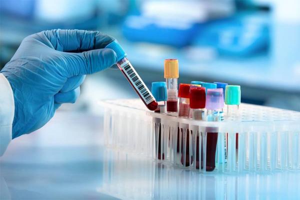 B&aacute;o VietnamNet - Ảnh 2.