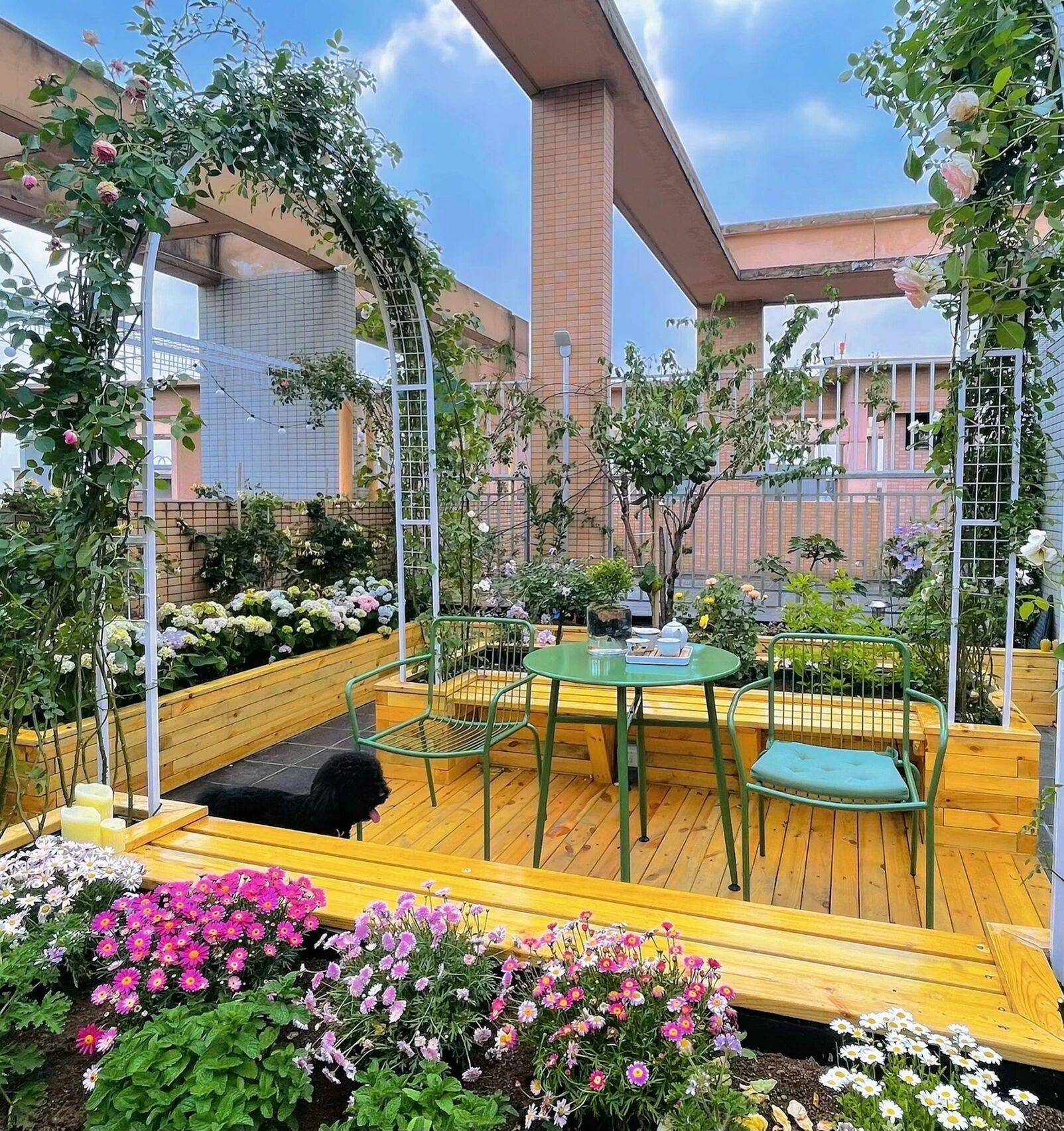 Cặp vợ chồng trẻ mạnh tay chi hơn 70 triệu biến sân thượng thành khu vườn nghỉ ngơi kiêm rạp chiếu phim ngoài trời - Ảnh 2.