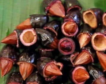 Trám trắng, trám đen - món ăn quên sầu sau Rằm tháng 7 ê hề thịt cá hút hồn người ăn vì dễ làm lại ngon như đặc sản - Ảnh 5. Trám trắng, trám đen - món ăn quên sầu sau Rằm tháng 7 ê hề thịt cá hút hồn người ăn vì dễ làm lại ngon như đặc sản - Ảnh 5.