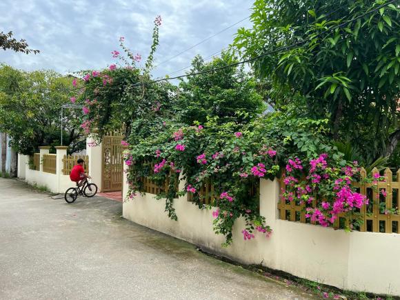 Khung cảnh ngôi nhà nhỏ ở quê thanh bình, rợp bóng cây của ca sĩ Hồ Quang 8 - Ảnh 4.
