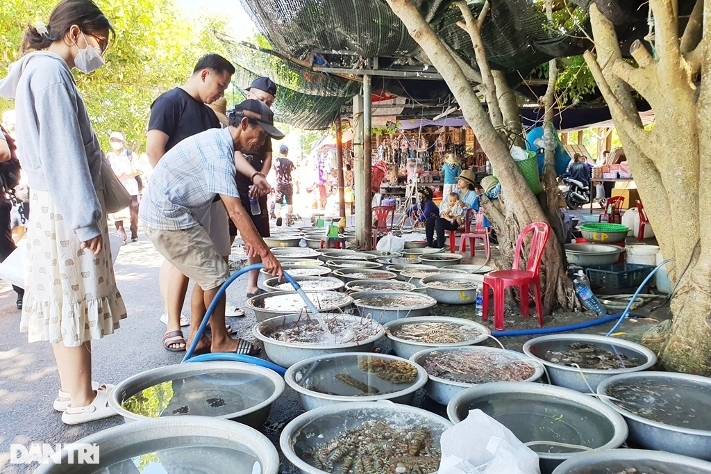 Du lịch hồi sinh, xe ôm, người bán giải khát ở Cù Lao Chàm thở phào - Ảnh 2.