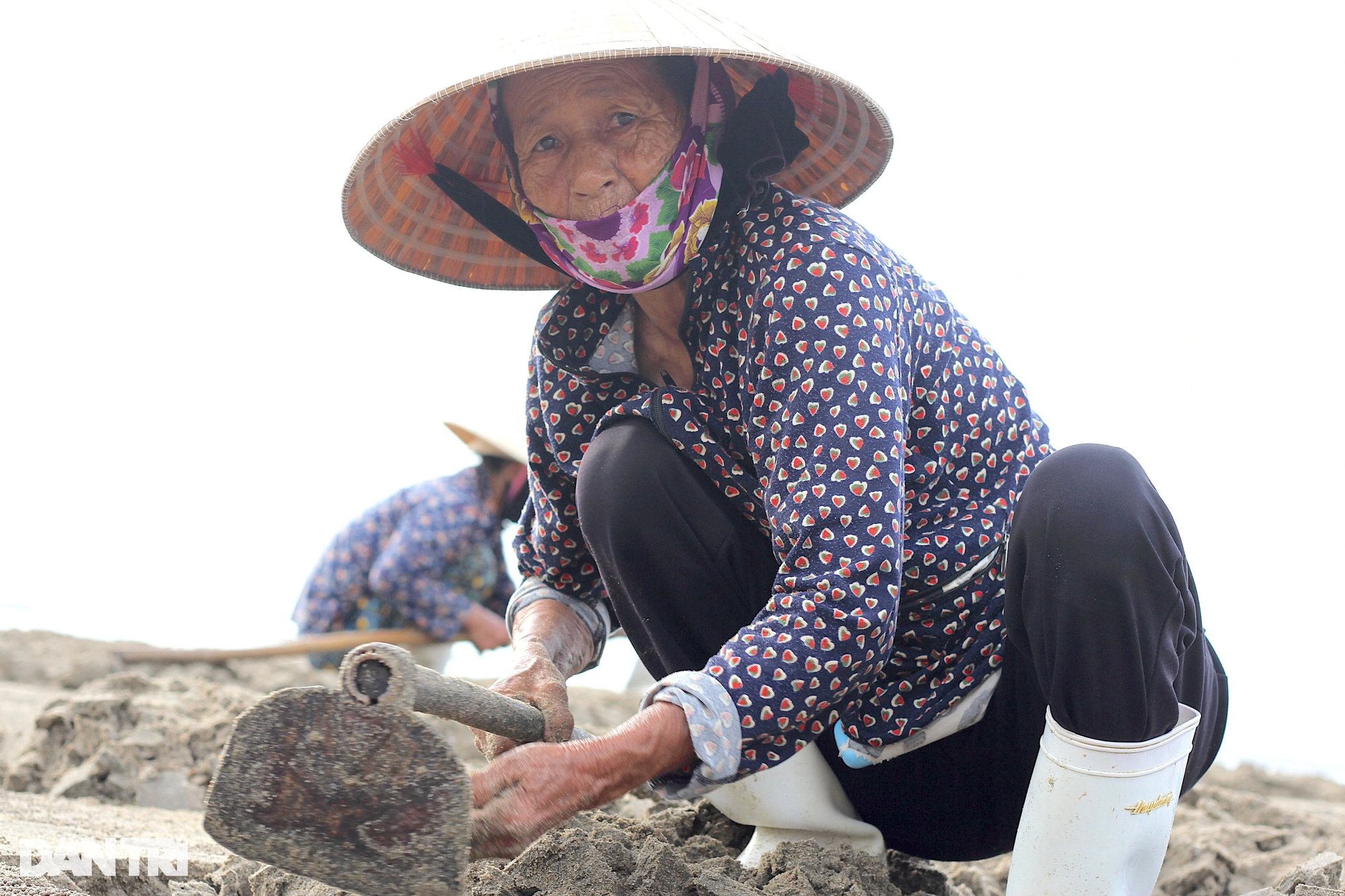 Hàng trăm người dân làm &quot;nghề tranh thủ&quot; trên bãi biển - Ảnh 3.