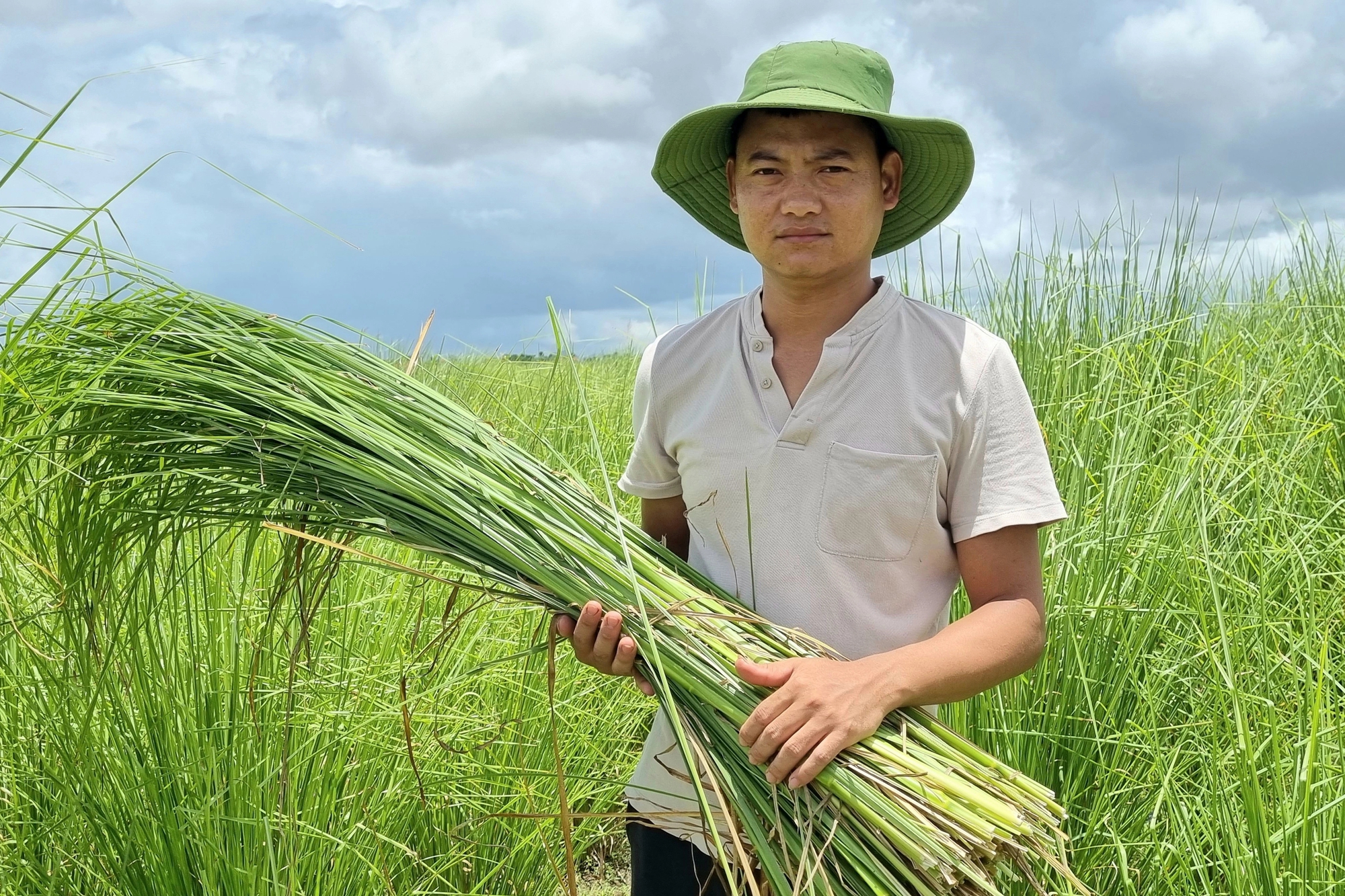 Trồng các loại cỏ dại, bất ngờ thu lời cao - Ảnh 5.