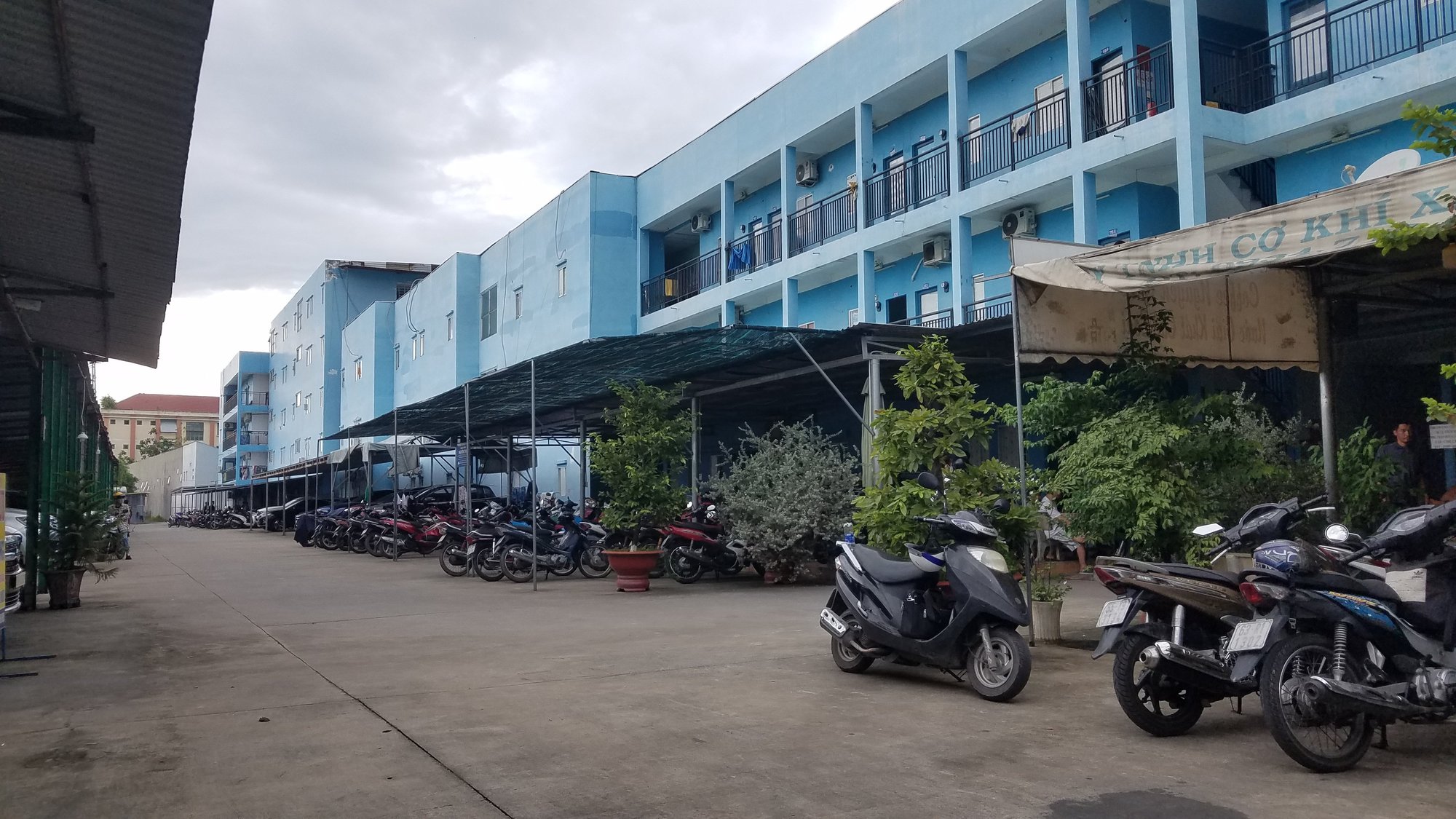 Cô gái hốt hoảng thấy bạn chết trong tư thế treo cổ - Ảnh 1. Cô gái hốt hoảng thấy bạn chết trong tư thế treo cổ - Ảnh 1.