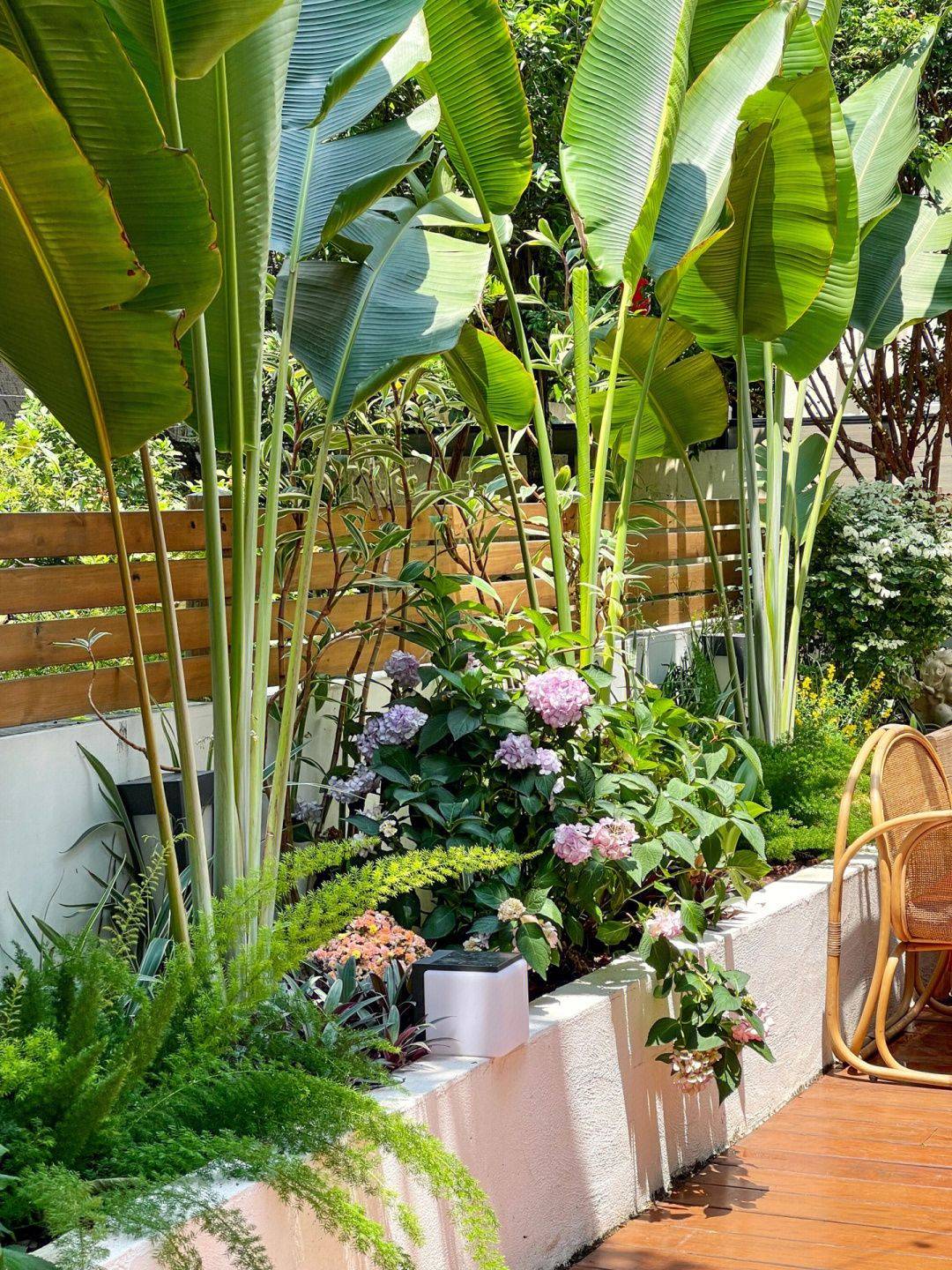 Tự tay cải tạo khoảng sân rộng 170m2 thành khu vườn sinh thái tự nhiên, đầy sức sống - Ảnh 12. Tự tay cải tạo khoảng sân rộng 170m2 thành khu vườn sinh thái tự nhiên, đầy sức sống - Ảnh 12.