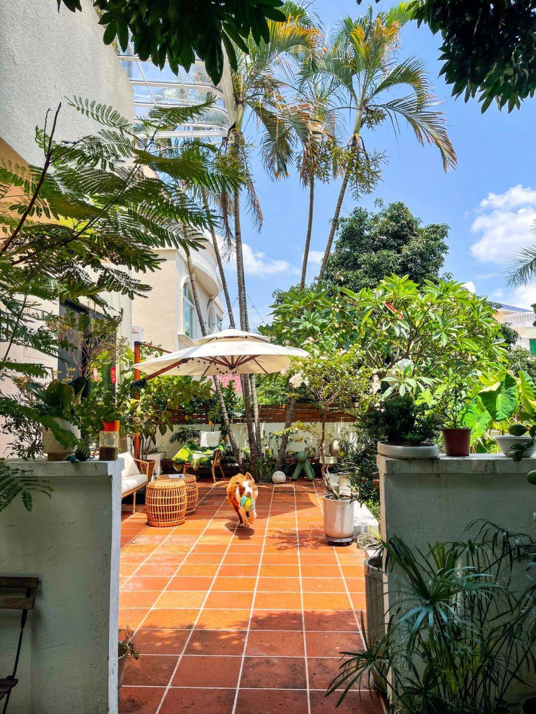 Tự tay cải tạo khoảng sân rộng 170m2 thành khu vườn sinh thái tự nhiên, đầy sức sống - Ảnh 7. Tự tay cải tạo khoảng sân rộng 170m2 thành khu vườn sinh thái tự nhiên, đầy sức sống - Ảnh 7.