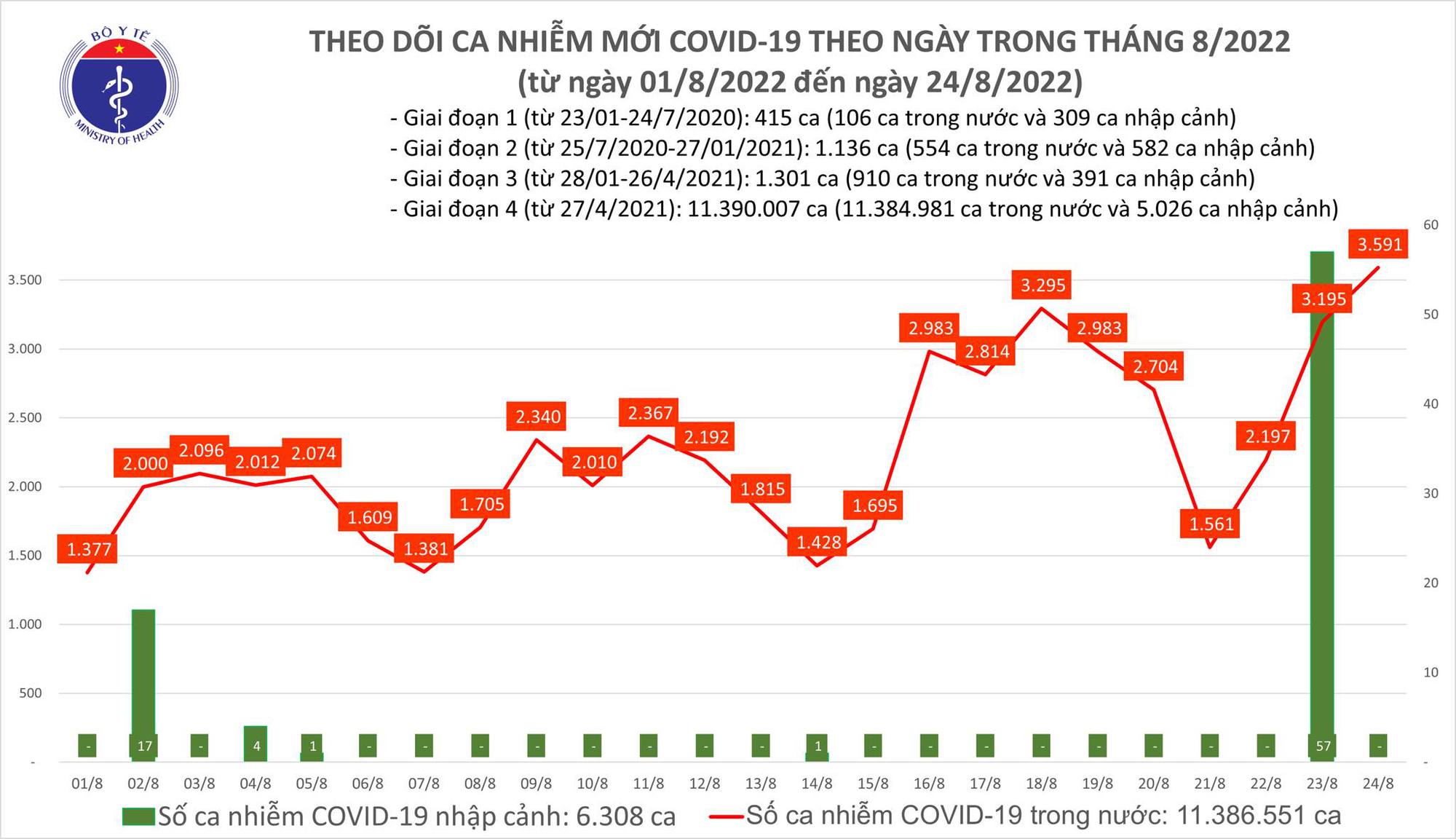 Tin COVID hôm nay tối 24/8: Có 3.591 ca COVID-19, cao nhất trong hơn 3,5 tháng qua; 2 F0 từ vong - Ảnh 1.