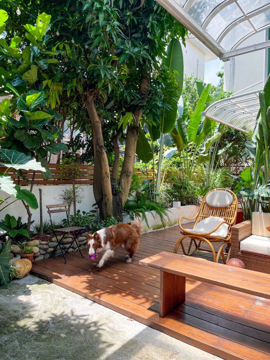 Khoảng sân rộng 170m2 biến thành khu vườn sinh thái tự nhiên, đầy sức sống - Ảnh 10.