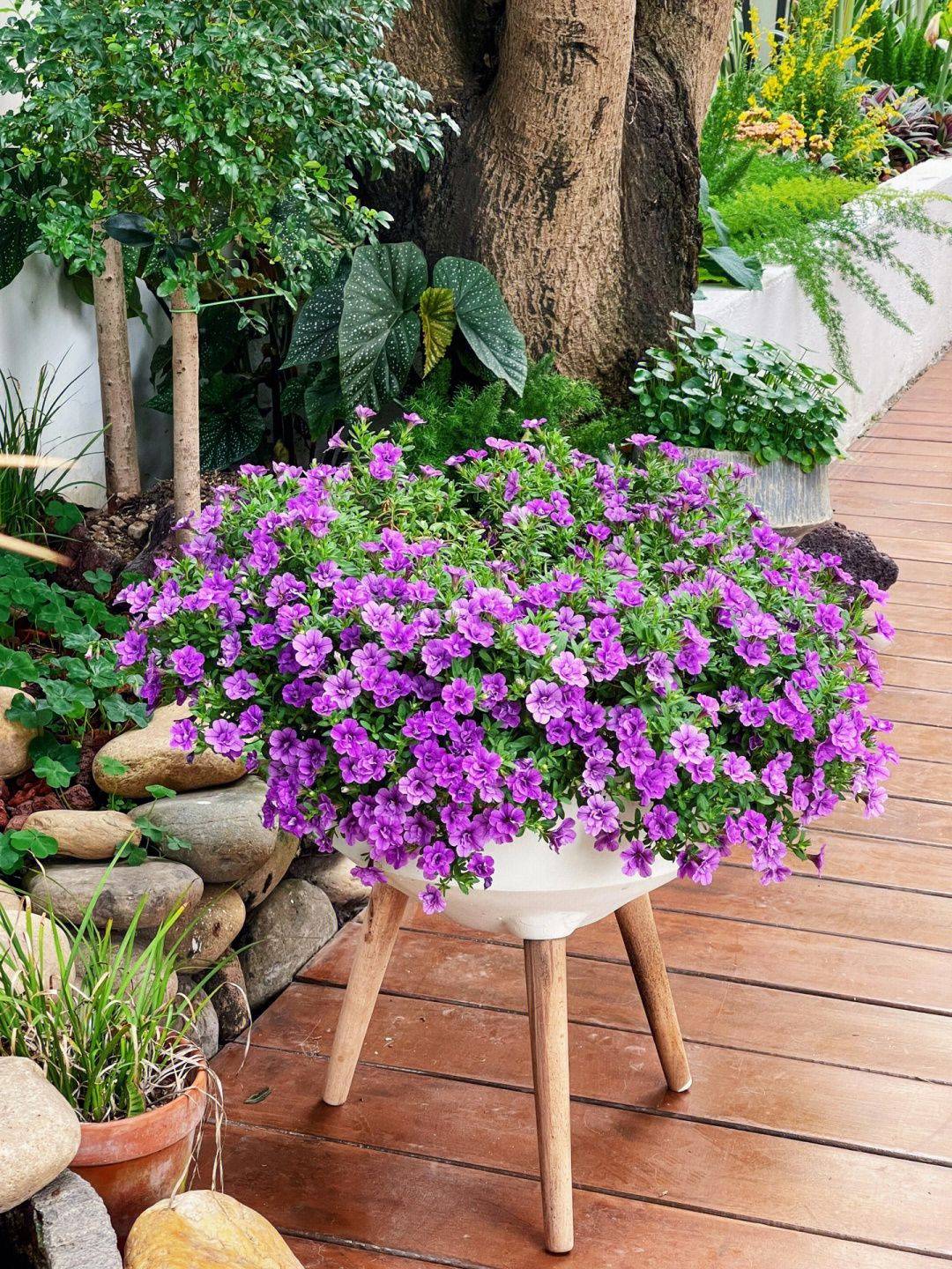 Khoảng sân rộng 170m2 biến thành khu vườn sinh thái tự nhiên, đầy sức sống - Ảnh 14.