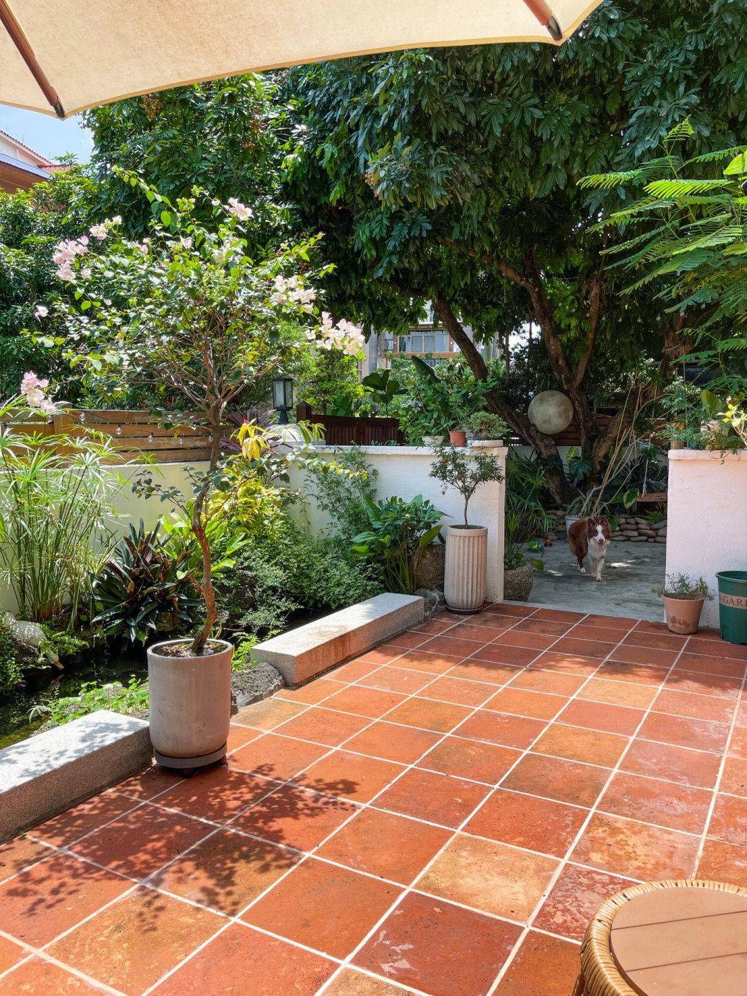Khoảng sân rộng 170m2 biến thành khu vườn sinh thái tự nhiên, đầy sức sống - Ảnh 4.