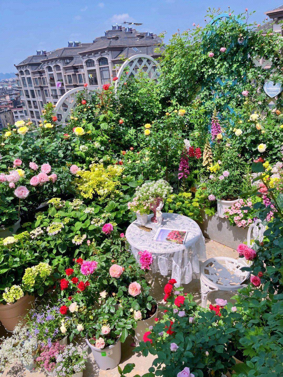Chỉ tốn 5 tháng, sân thượng 30m² biến thành khu vườn phủ kín hoa tươi vô cùng lãng mạn - Ảnh 4. Chỉ tốn 5 tháng, sân thượng 30m² biến thành khu vườn phủ kín hoa tươi vô cùng lãng mạn - Ảnh 4.