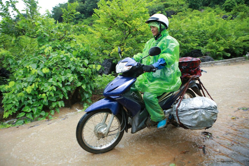 'Vàng trên núi' mang về doanh thu 700 tỷ đồng/năm - Ảnh 9.