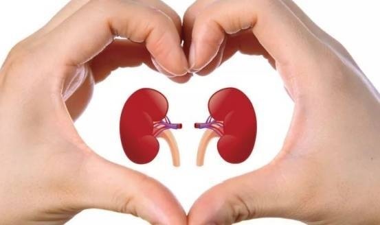 5 c&aacute;ch đơn giản để qu&yacute; &ocirc;ng &lsquo;trường sinh bất l&atilde;o&rsquo; - Ảnh 2.