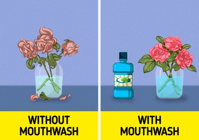 11 mẹo vặt gia đình từ thời ông bà - Ảnh 6.