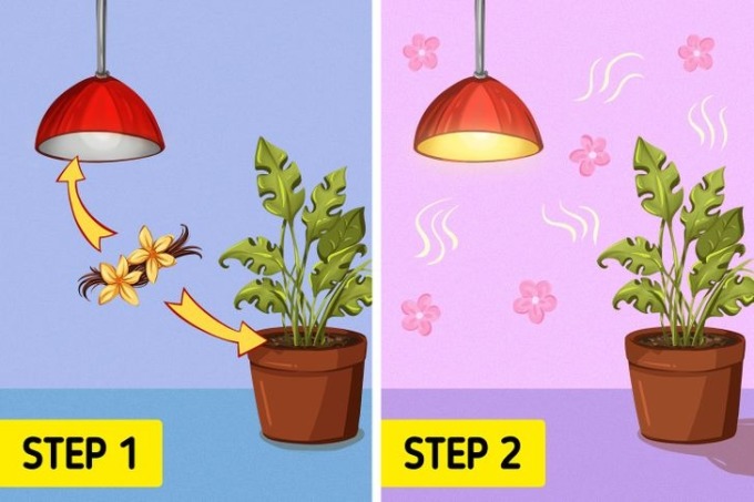 11 mẹo vặt gia đình từ thời ông bà - Ảnh 4.