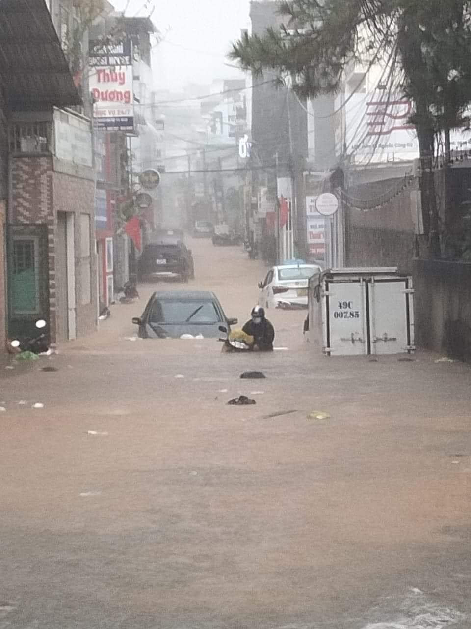 Hãy đến xem hình ảnh để tìm hiểu về những lúc hoang mang trong cuộc sống, và cách chúng ta có thể vượt qua chúng một cách khôn ngoan và mạnh mẽ.