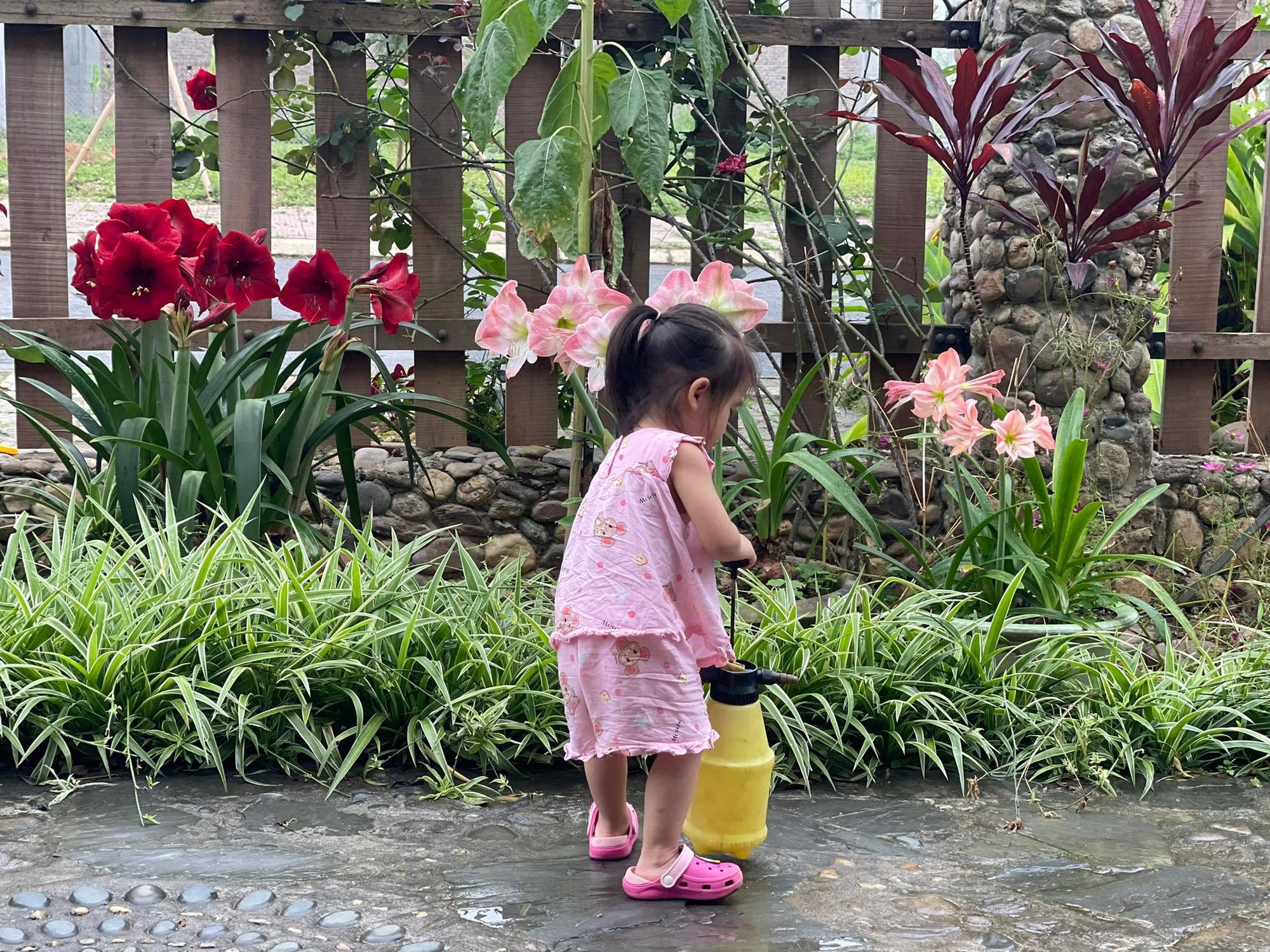 Khu vườn 300m² &quot;ngập tràn&quot; rau củ quả và hoa tươi của mẹ đảm ở Hà Giang - Ảnh 15.