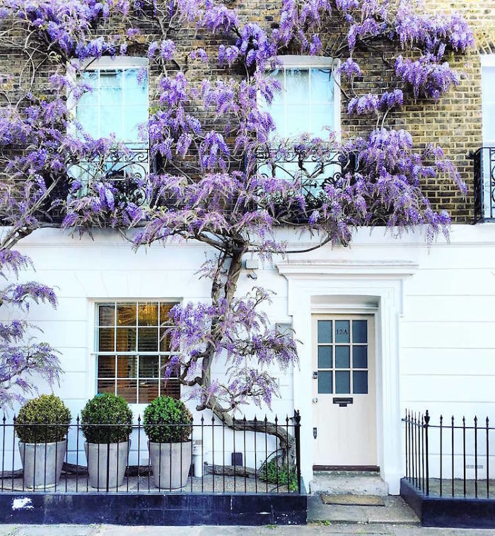 colorful-front-doors-photography-london-bella-foxwell-68-5c36fa66e482e700-1663036953575890189168-1663117800221-16631178004331081929912.jpg