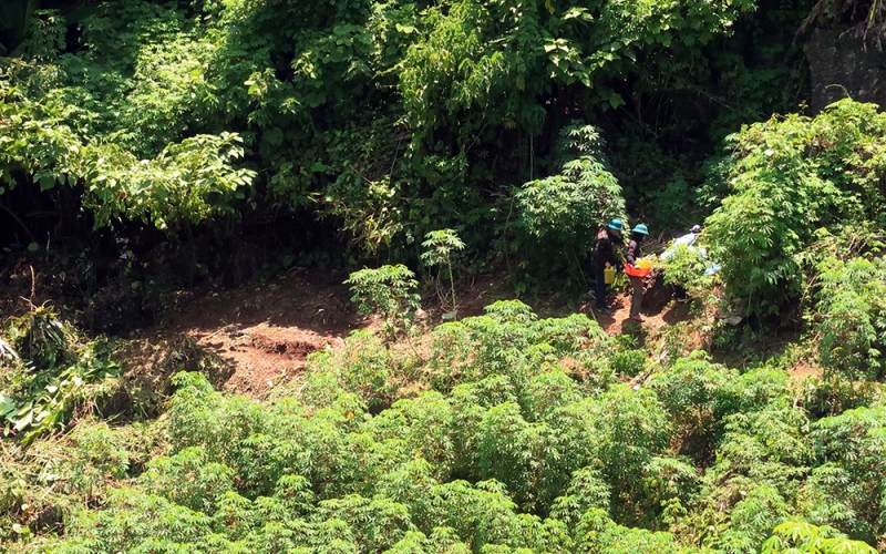 Bộ xương khô trong hang núi giữa đại ngàn và tội ác từ 30 năm về trước (P cuối): Thảm án trên đỉnh núi cao