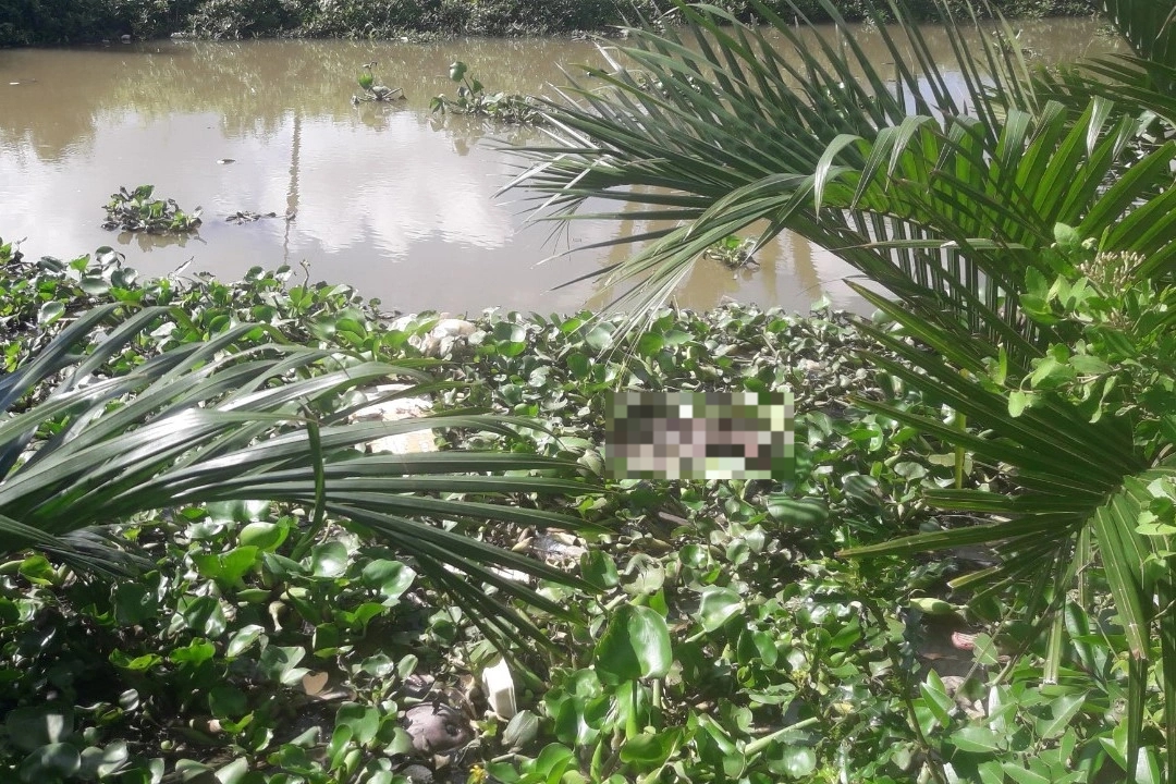 B&eacute; g&aacute;i sơ sinh c&ograve;n nguy&ecirc;n d&acirc;y rốn chết tr&ocirc;i s&ocirc;ng - Ảnh 1.