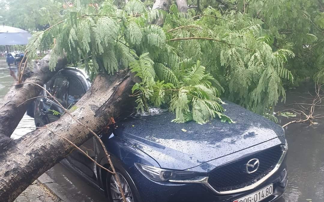 Hà Nội: Đang đỗ ven đường, xe Mazda CX5 bị cây đổ đè trúng trong trận mưa giông lớn