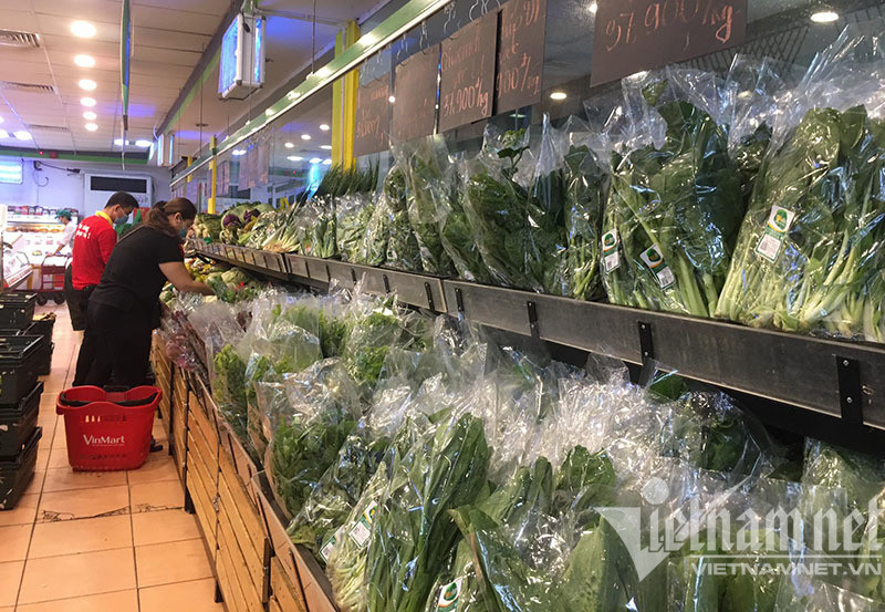 Giật mình với chất lượng rau xanh ở chợ và siêu thị - Ảnh 2.