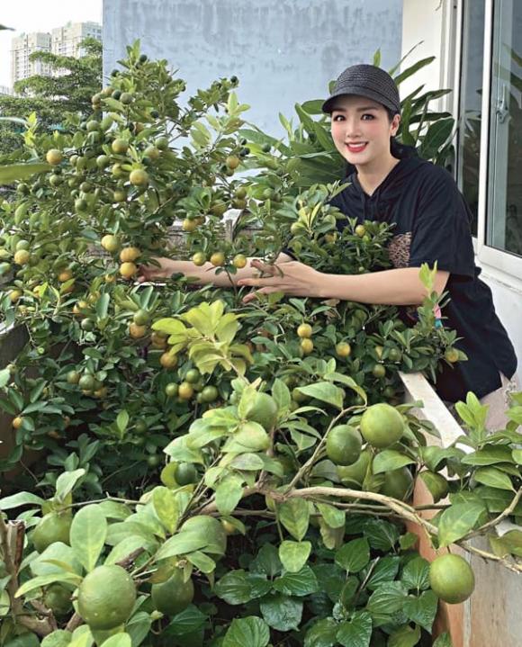Hoa hậu Giáng My khoe thành quả thu hoạch rau củ quả 'bội thu' trong biệt thự xa hoa - Ảnh 1.
