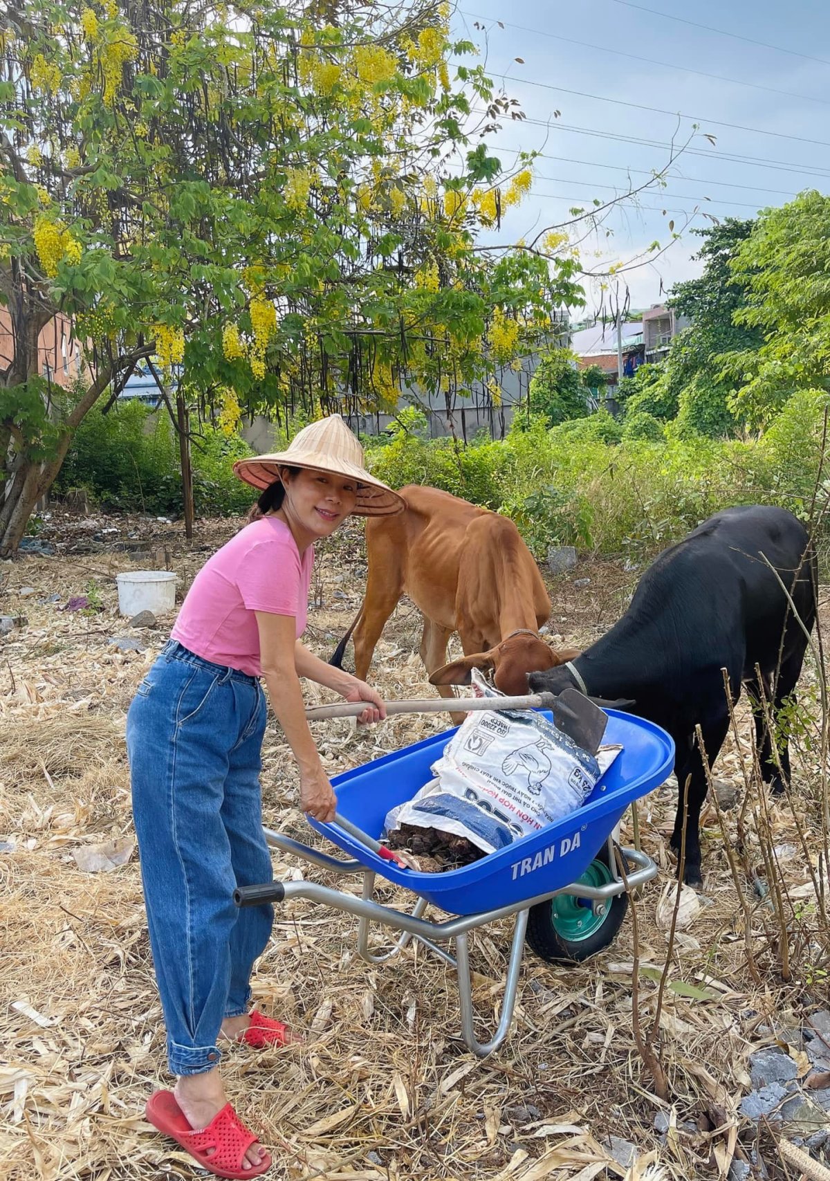 Mỹ Lệ nuôi nhiều gia súc, gia cầm trong nông trại nghìn m2 - Ảnh 7.