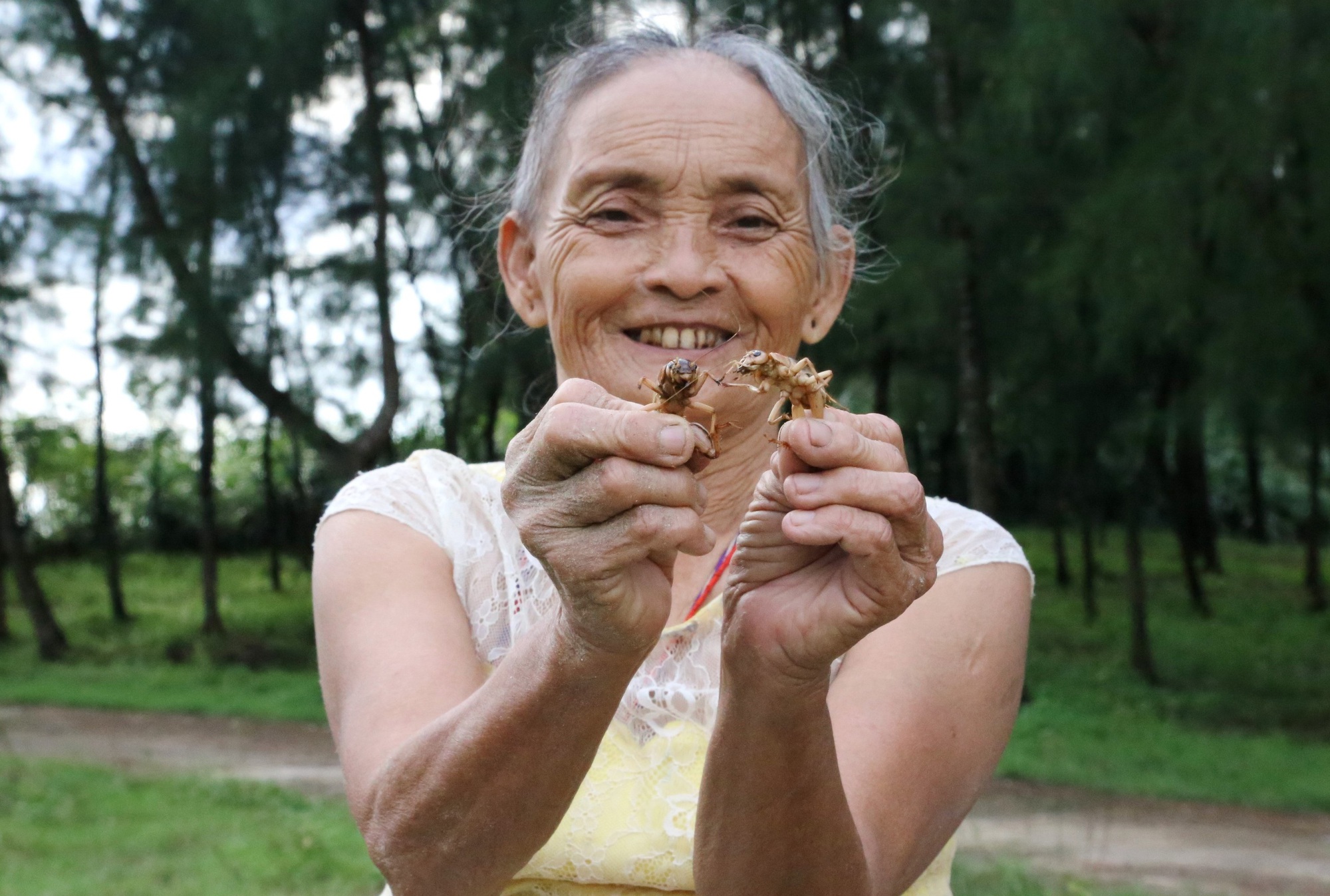 Đổ xô đi săn loài côn trùng &quot;phiêu lưu ký&quot; - Ảnh 3.