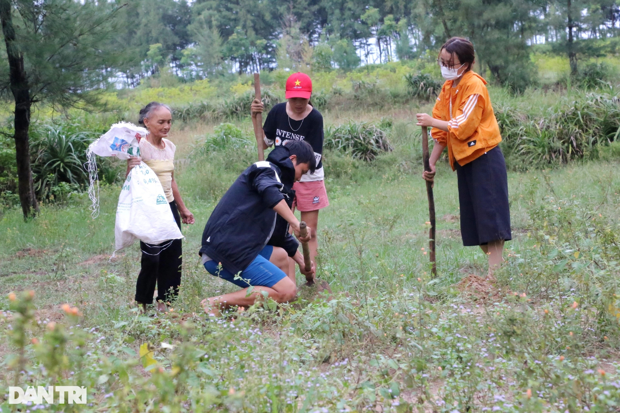 Đổ xô đi săn loài côn trùng &quot;phiêu lưu ký&quot; - Ảnh 2.