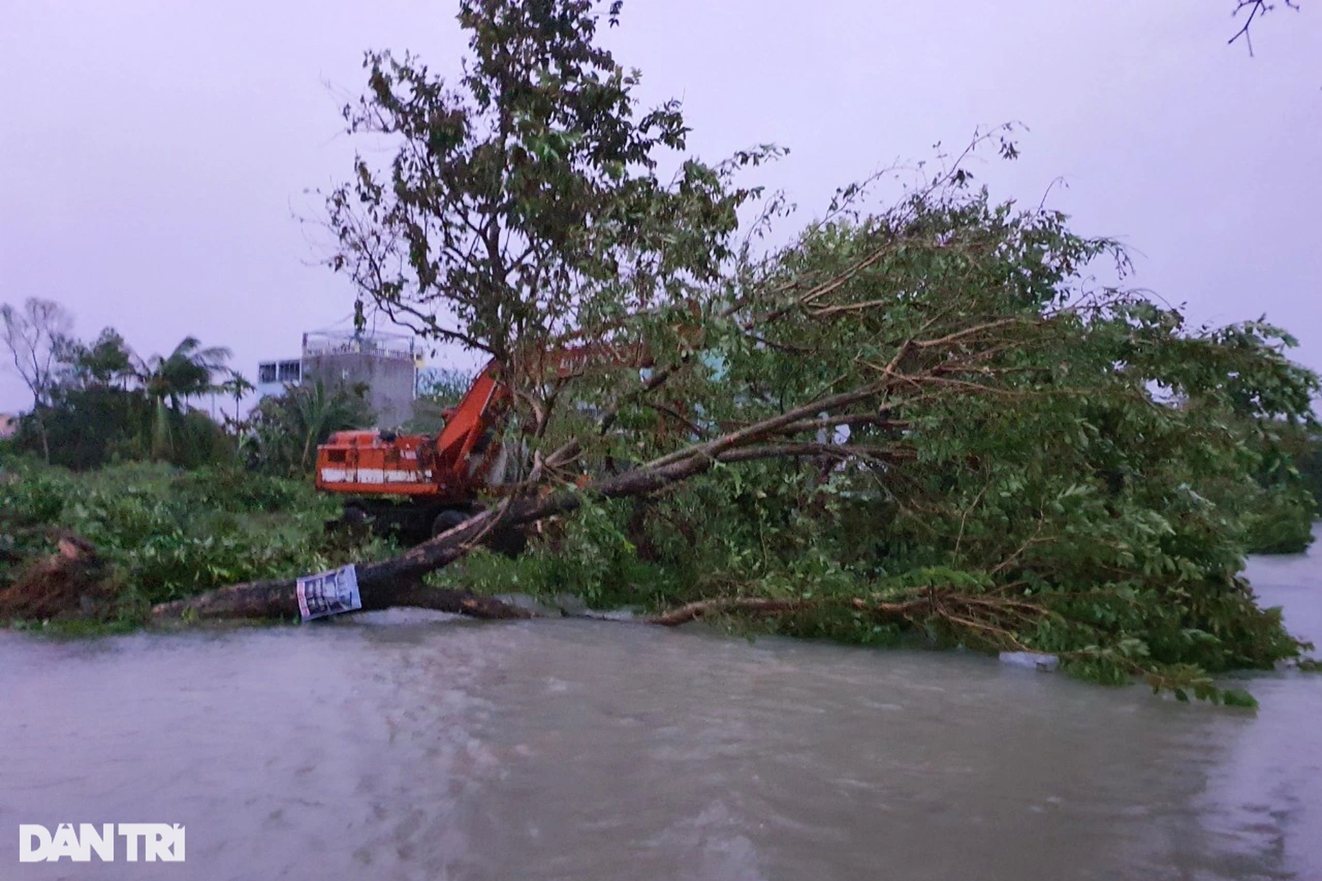 Hình ảnh Hội An, Đà Nẵng tan hoang khi bão Noru đổ bộ - Ảnh 10.