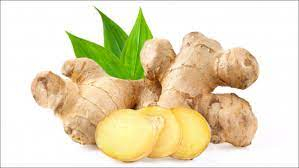 Đua nhau tìm ăn rau vị đắng giúp tránh 2 bệnh phổ biến khi mưa bão, giá lạnh, chuyển mùa - Ảnh 5. Đua nhau tìm ăn rau vị đắng giúp tránh 2 bệnh phổ biến khi mưa bão, giá lạnh, chuyển mùa - Ảnh 5.