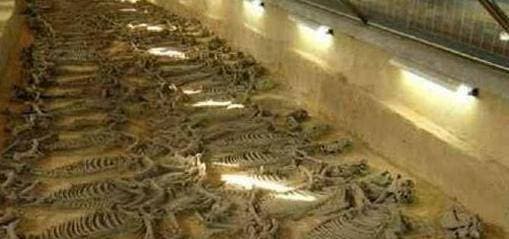 Hầm mộ nghìn năm tuổi được đào lên ở Giang Tây, 46 cô gái bị chôn vùi 'trần như nhộng' khiến giới chuyên môn khiếp sợ một thời - Ảnh 6.