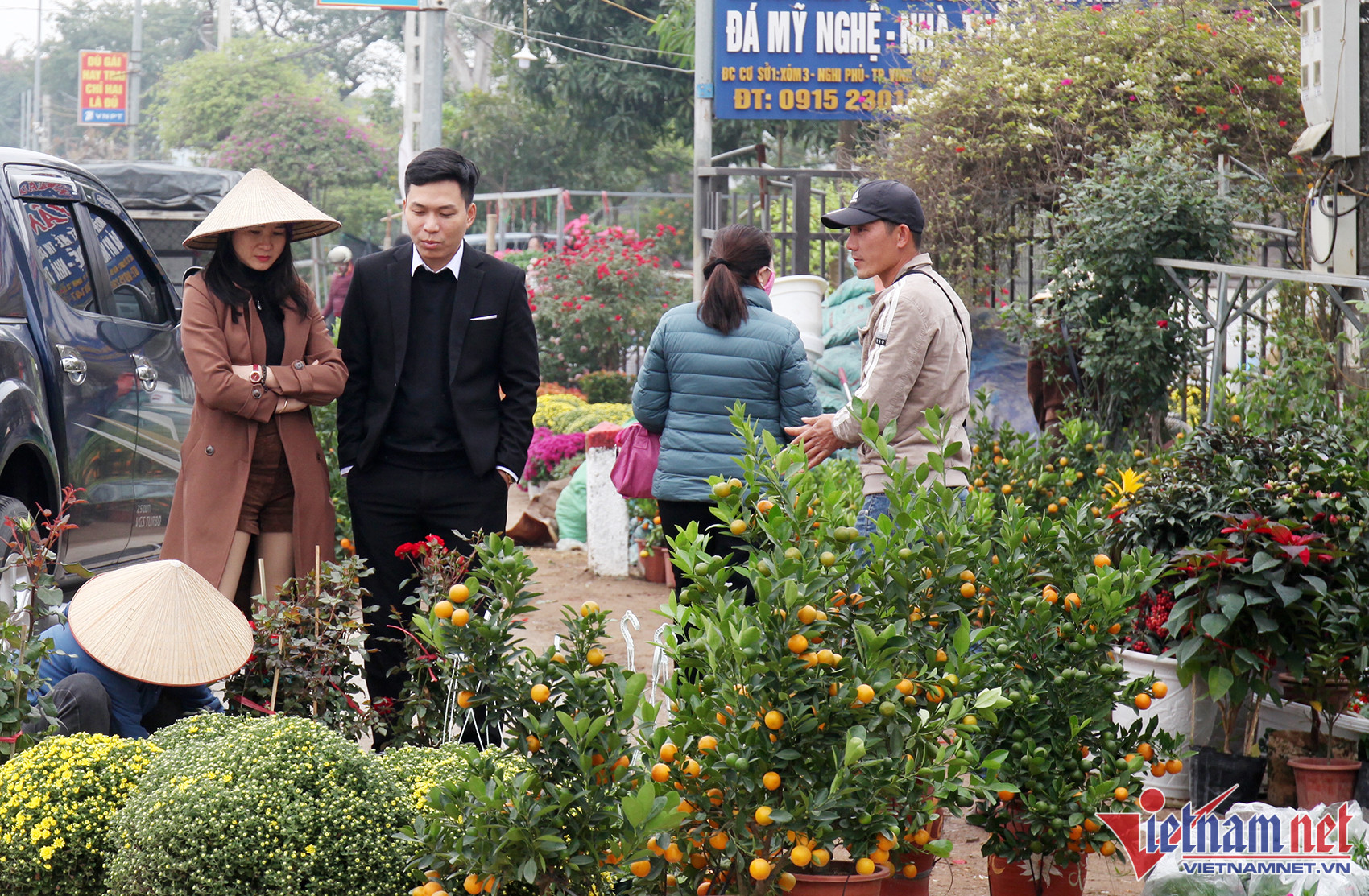 Bạo tay chi tiền tỷ nhập đào về bán Tết dù thị trường ảm đạm - Ảnh 9.