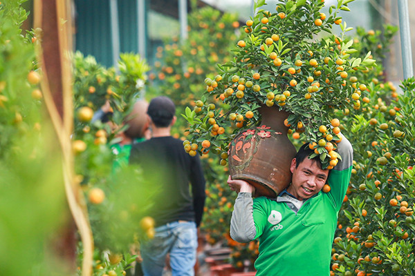 Cao điểm Tết, shipper tắt app vẫn kiếm tiền triệu mỗi ng&agrave;y - Ảnh 2.