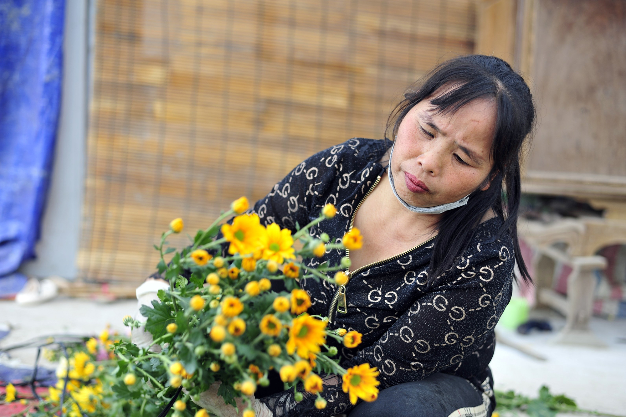 Hoa nở “lệch múi giờ”, nông dân Hà Nội thu hoạch sớm để bảo quản lạnh, chờ phục vụ người chơi đúng dịp Tết - Ảnh 5.