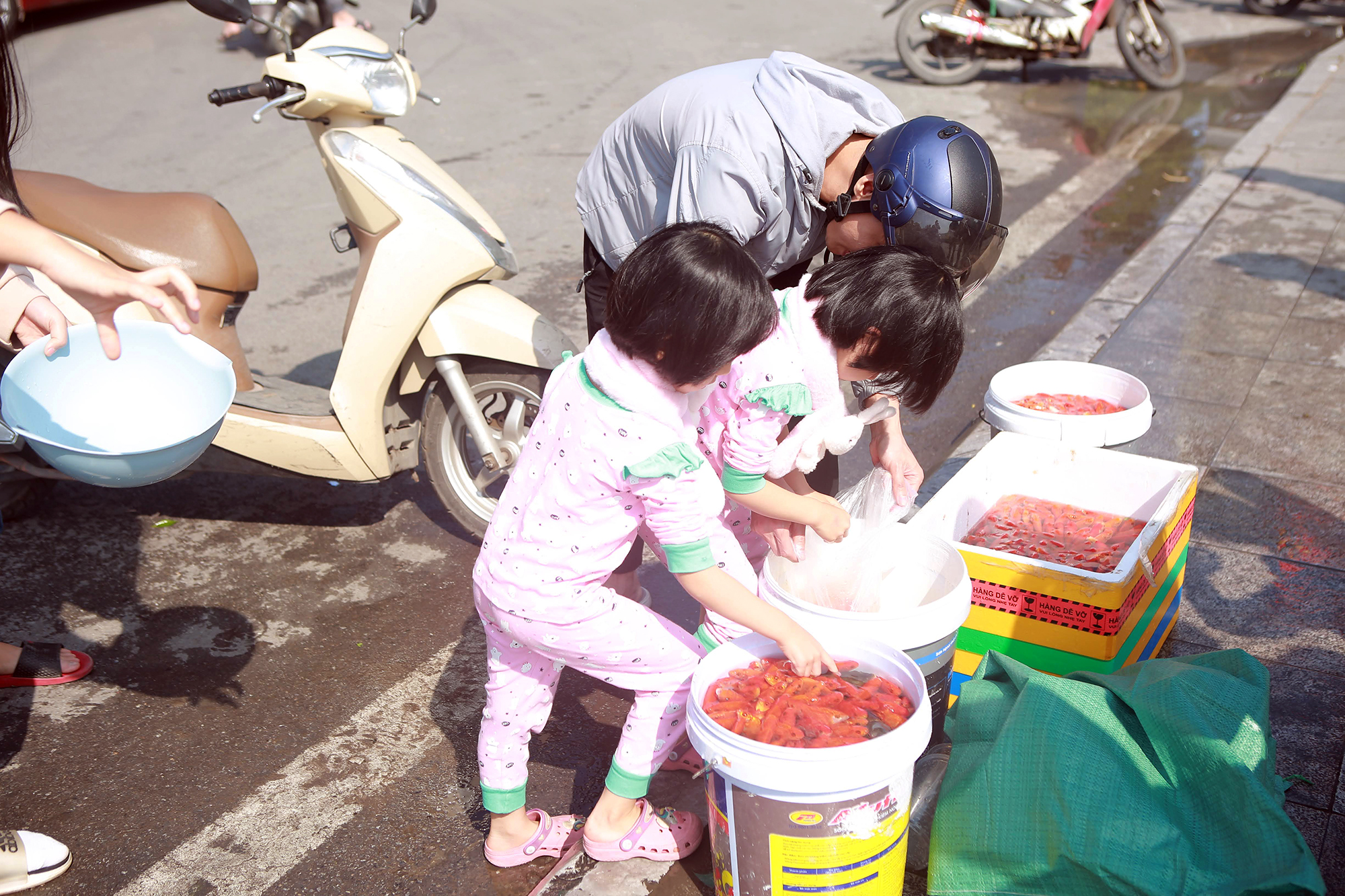 Cá chép đỏ đắt hàng ngày tiễn 'ông Công, ông Táo', 50.000 đồng/3 con  - Ảnh 13.