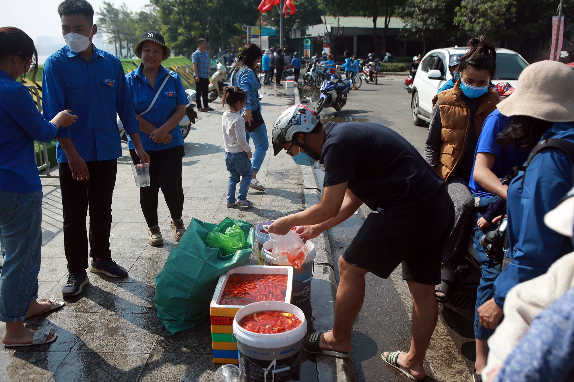 Cá chép đỏ đắt hàng ngày tiễn 'ông Công, ông Táo', 50.000 đồng/3 con  - Ảnh 11.