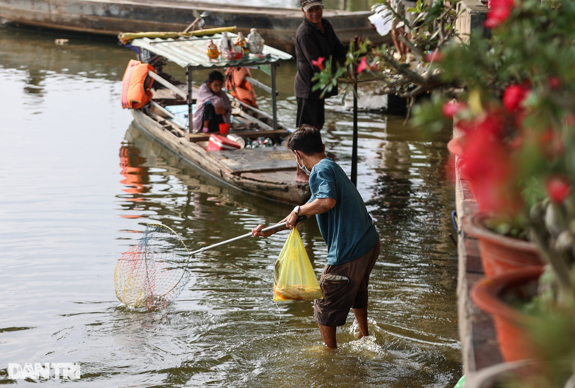 Cá chép chưa kịp tiễn ông Táo &quot;lên trời&quot; đã bị chích điện - Ảnh 11.