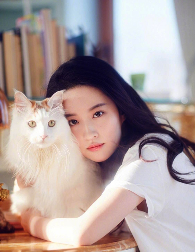 Lưu Diệc Phi sống độc thân cùng 16 con mèo, có bộ sưu tập xe hàng hiệu - Ảnh 2.