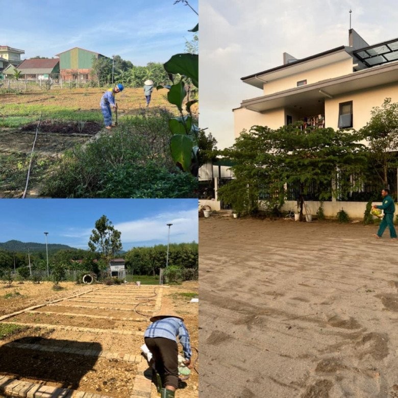 Mẹ đơn thân bỏ phố về quê sau 15 năm, xây nhà 5,5 tỷ với khu vườn 2000m2 bạt ngàn rau trái - Ảnh 7.