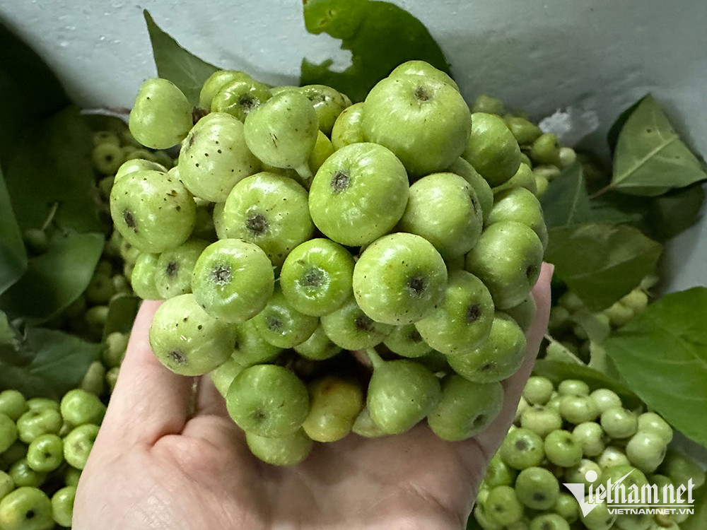 Loại quả thôn quê rẻ bèo, nay ở chợ Tết thành hàng đắt đỏ, kiều bào cũng tìm mua - Ảnh 1.