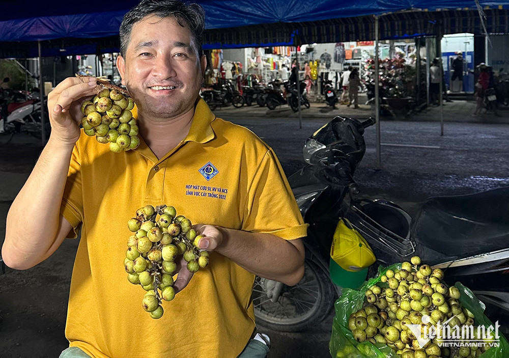 Loại quả thôn quê rẻ bèo, nay ở chợ Tết thành hàng đắt đỏ, kiều bào cũng tìm mua - Ảnh 3.