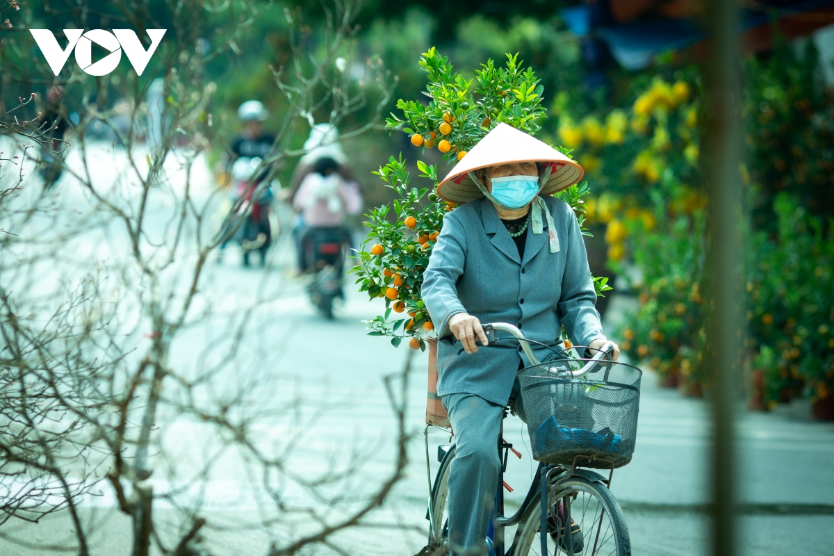 Kinh doanh "thú chơi" chốt 30 Tết: Cuộc "đấu trí" người bán-kẻ mua - Ảnh 12. Kinh doanh "thú chơi" chốt 30 Tết: Cuộc "đấu trí" người bán-kẻ mua - Ảnh 12.