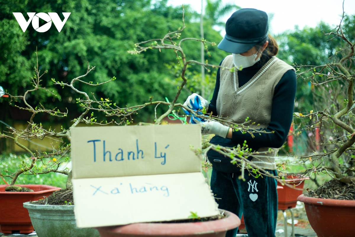 Kinh doanh "thú chơi" chốt 30 Tết: Cuộc "đấu trí" người bán-kẻ mua - Ảnh 5. Kinh doanh "thú chơi" chốt 30 Tết: Cuộc "đấu trí" người bán-kẻ mua - Ảnh 5.