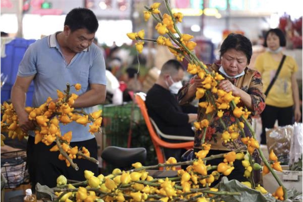 Cổ trấn nghìn năm tuổi ở Trung Quốc đón Tết như thế nào? - Ảnh 10. Cổ trấn nghìn năm tuổi ở Trung Quốc đón Tết như thế nào? - Ảnh 10.